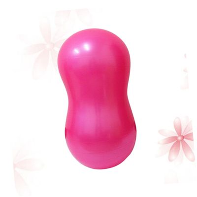 BESPORTBLE Explosion-proof Yoga Ball for Balance Strength Flexibility Large Exercise Ball for Fitness Therapy