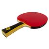 Professional Angel Strike Ping Pong Paddle | REDEFINING Table Tennis with Speed, Precision, and Touch | Olympic & Tournament Legal | Professional Ping Pong Paddle | Offensive Paddle | ITTF Approved view 2