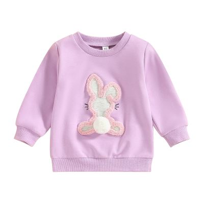 JLKGICF Toddler Baby Girl Easter Outfit Bunny Print Embroidery Crewneck Sweatshirt Long Sleeve Tops Kids Cute Clothes(Vivid Rabbit Purple, 2-3T)