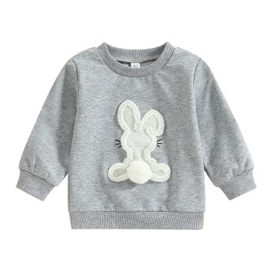 JLKGICF Toddler Baby Girl Easter Outfit Bunny Print Embroidery Crewneck Sweatshirt Long Sleeve Tops Kids Cute Clothes(Vivid Rabbit Grey, 2-3T)