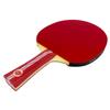 Counterstrike Atmostorm Paddle Bundle (Includes Hard Case & 6 Balls) | Ping Pong Paddle | Offensive Table Tennis Paddle | ITTF Approved | Ping Pong Set (Blue Matte Fiber Hard Case) view 3