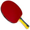 Counterstrike Mad Scientist Paddle Bundle (Includes Hard Case & 6 Balls) | Ping Pong Paddle | Offensive Table Tennis Paddle | ITTF Approved | Ping Pong Set (Blue Matte Fiber Hard Case) view 2