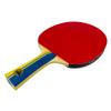Counterstrike Mad Scientist Paddle Bundle (Includes Hard Case & 6 Balls) | Ping Pong Paddle | Offensive Table Tennis Paddle | ITTF Approved | Ping Pong Set (Blue Matte Fiber Hard Case) view 3