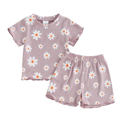 0-3T Toddler Baby Girl Summer Clothes Short Sleeve Floral Tshirt Tops and Shorts Set Oversized Outfit Boho Clothes (Purple, 18-24 Months)