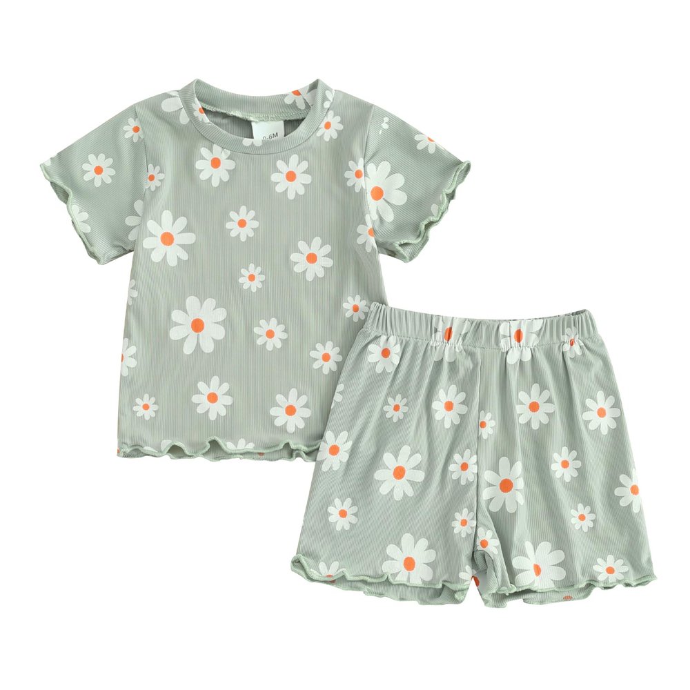 fhutpw Toddler Baby Girls Summer Outfits Daisy Ruffle Short Sleeve T-Shirts Tops Floral Shorts 2Pcs Clothes Set 6M-4T (E Green, 18-24 Months)