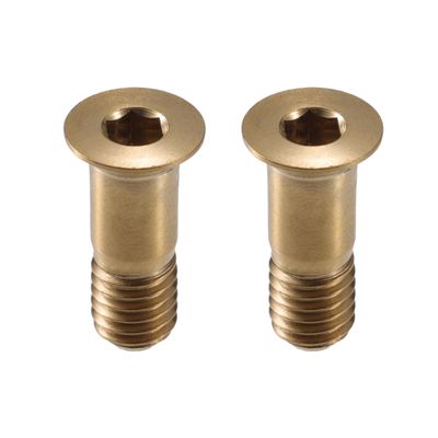 ACROPIX M5x14.2mm Gold Tone Universal Bicycle Bike Rear Derailleur Wheel Bolts Screw - Pack of 2