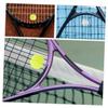 Parliky 2pcs Tennis Racket Dampeners Tennis Dampeners Lightweight Plastic Design for Shock Absorption and Enhanced Comfort During Play view 3