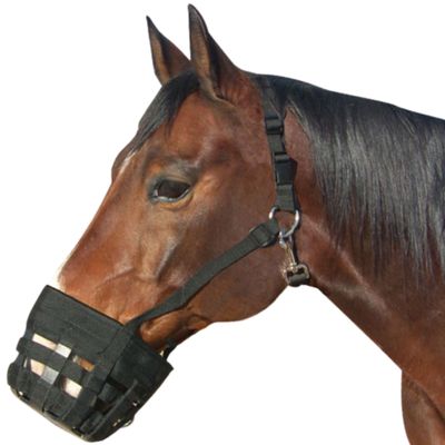 Best Friend Deluxe Grazing Muzzle with Attached Halter for Horses - Ventilated Neoprene, Padded Noseband, Breakaway Design, Lightweight Food Intake Control, Large Horse
