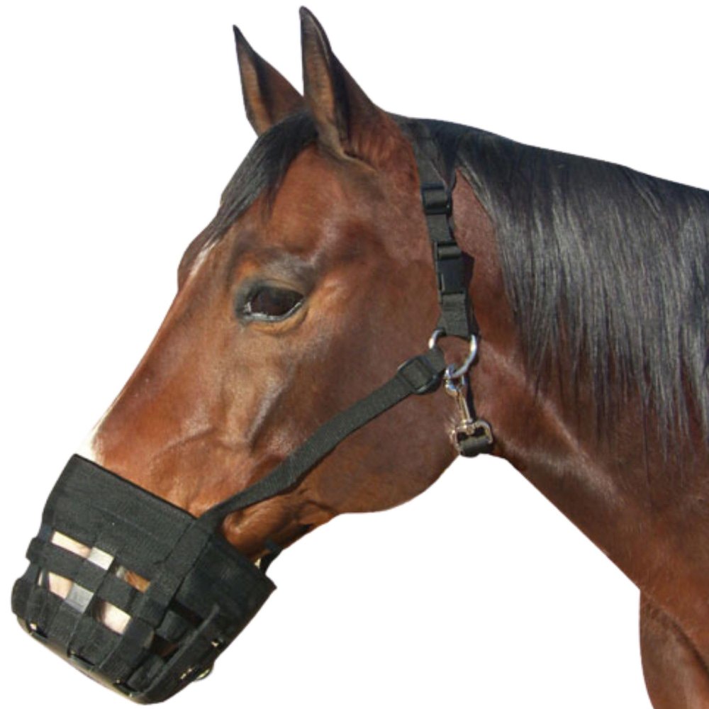 Best Friend Deluxe Grazing Muzzle with Attached Halter for Horses - Ventilated Neoprene, Padded Noseband, Breakaway Design, Lightweight Food Intake Control, Large Horse