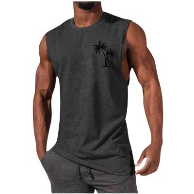 Generic Men's Sleeveless Workout Swim Shirt Quick Dry Athletic Running Gym Crewneck Loose Fit Muscle Shirts Beach Tank Top, Small, A01_dark Gray