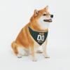Personalized Green Bay Dog Bandana, Custom Name and Number Dog Scarf, Customize Adjustable Pet Bandana Gifts for Small Medium Pet Dog Cat 2 Side Printing view 4