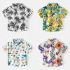 AIMAOMI Toddler Boys awaiian Shirt Kids Short Sleeve Button Down T Shirts Little Boy Beach Clothes Print (Sky Blue, 4-5 Years) view 3