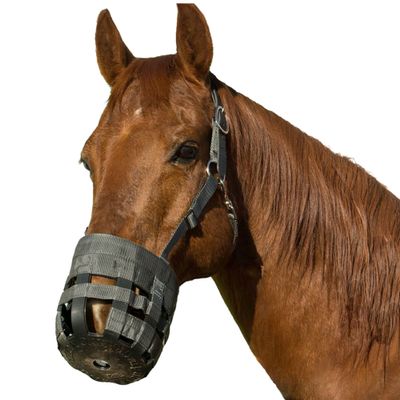 Best Friend Deluxe Leather Crown Grazing Muzzle - Horse Muzzle with Attached Halter, Adjustable, Breakaway, Lightweight, Ventilated, for Controlled Grazing - Dark Grey, Draft Horse