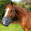 Best Friend Deluxe Leather Crown Grazing Muzzle - Horse Muzzle with Attached Halter, Adjustable, Breakaway, Lightweight, Ventilated, for Controlled Grazing - Dark Grey, Draft Horse view 3