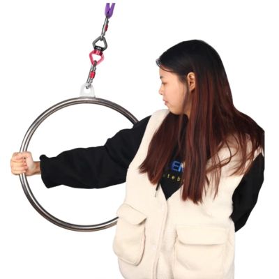 Single/Double Point Lyra Hoop, 17 Inch Small Aerial Hoop for Kids/Adults/Beginners, Mini Stainless Steel Circus Aerial Yoga Hoop for Home Fitness, Loads 330lbs ( Color : Single point , Size : 17inch/4