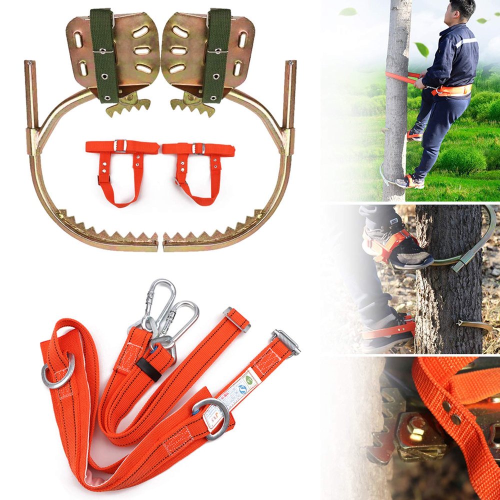 Tree Climbing Tool, Stainless Steel Professional Tree Climbing Gear Kit with Safe Belt, Adjustable Pole Climbing Spikes for Climbing Hunting Observation Picking Fruit,500model