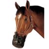 Best Friend Standard Grazing Muzzle - Lightweight & Ventilated Horse Muzzle w/Padded Noseband, Attachment to Horse Halter, Restricts Food Intake, Supports Natural Grazing Behavior, Cob Size view 2