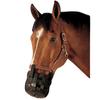 Best Friend Standard Grazing Muzzle - Lightweight & Ventilated Horse Muzzle w/Padded Noseband, Attachment to Halter, Restricts Food Intake, Supports Natural Grazing Behavior, Horse Size view 2