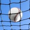 Fortress Baseball Backstop Nets | Professional Grade Sports Netting - 100% Weatherproof with Overlocked Edges [82 (10' x 200') view 1