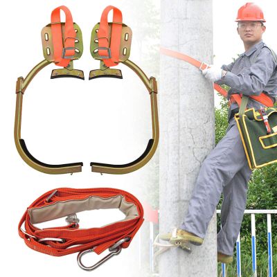 Tree Climbing Gear Kit, Non-Slip Climbing Tree Spikes with Seat Belt, Stainless Steel Tree Climbing Tool for Hunting Observation, Power Grid Maintenance,450model