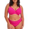 Elomi Women's Bazaruto Mid Rise Bikini Brief view 4