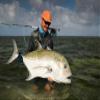 Cortland Giant Trevally Saltwater Fly Line, Light Blue/Yellow 100ft, WF10F view 2