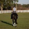 Equinavia Ty Brushing Boots with NordicAir Tech - White/Natural - M view 4