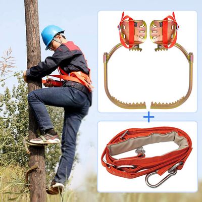 Pole Climbing Spikes, Professional Stainless Steel Tree Climbing Gear Kit with Safe Belt, Tree Climbing Spikes for Hunting Observation, Picking Fruit, Coconut, Simple to Use,500model