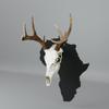 State Specific European Mount Skull Hanger. Choose Your State! Customize Your Euro Mount Hanger with Engravings! Secure Your Deer Skull Mount with Style! (Africa Solid) view 4