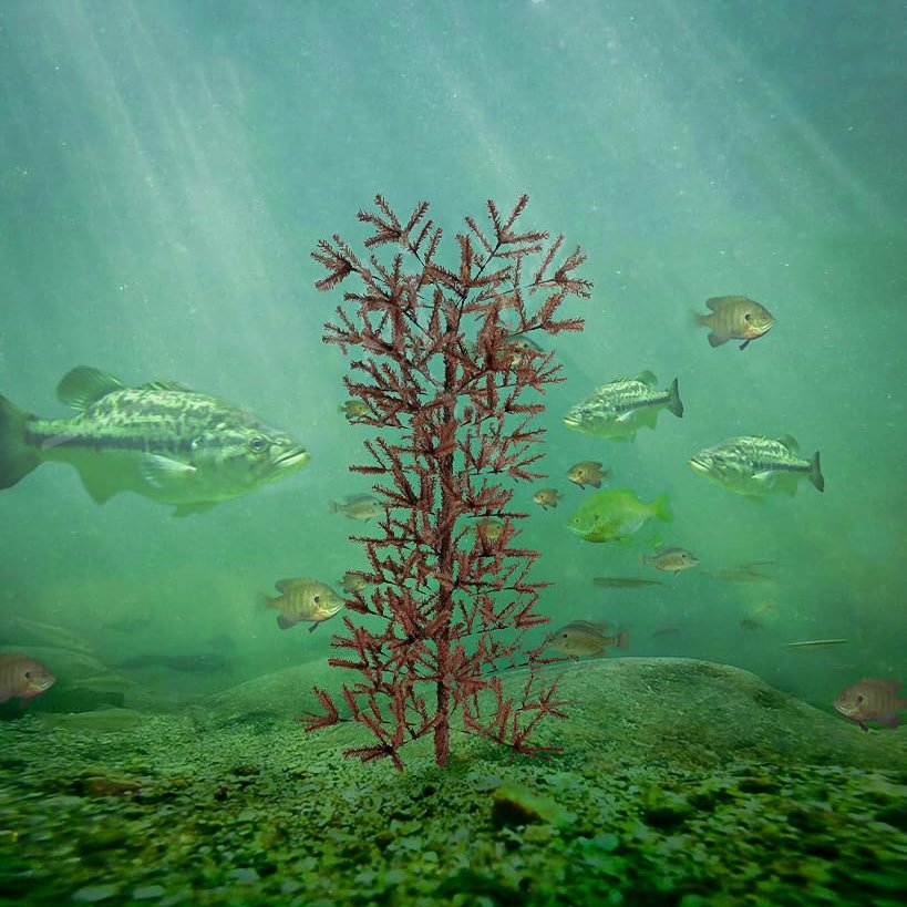 Ugly Tree Artificial Lake and Pond Habitats, brown