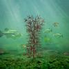 Ugly Tree Artificial Lake and Pond Habitats, brown view 1