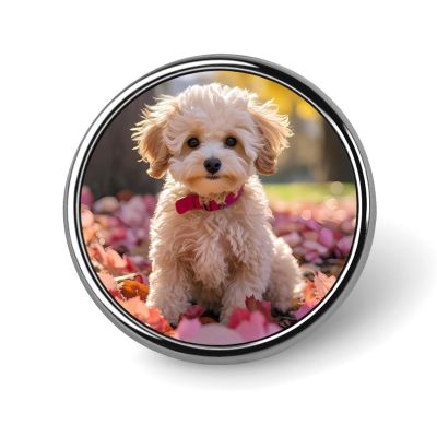 Maltipoo Dog Funny Round Badge Brooch Pin Button Print Lapel Tie Pins Decoration for Men Women, Circular, style