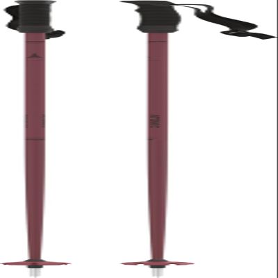 ATOMIC Cloud Maroon Ski Poles, Length 105 cm, Aluminium Ski Poles, Ergonomic Handle for More Grip, Pole with 60 mm Piste Plate, Beginners Poles