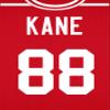 Tmo2 Detroit Red Wings Current Players Posters, NHL, Red Wings Wall Art, 6 Unframed (8x10) Prints: view 2