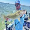 Northland Fishing Tackle Rock Runner Bottom Bouncer - Ultimate Trolling Wire Sinker for Walleye Fishing, Super-Glo Wonderbread, 3/4 Oz view 2