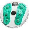 Waist Twisting Disc,Twist Board Waist Twisting Disc with 3D Massage Design AB Twisters Board with Counter 100Kg Max Twisters Exercise for Waist Slimming Balance Fitness view 1