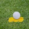 BESPORTBLE Putter Reusable Putting Trainer Portable Golf Aid for Control Rhythm Practice Material Golf Accessory for All Skill Levels view 2