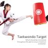 QANYEGN Taekwondo Kick Pads, Kick, Boxing Pching Pad with Hand Guard, Taekwondo Block Target Training Equipment(Red-Yellow) view 3