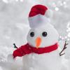 BESTonZON 15 Pcs Carrot Nose Props for Snowman Making Lightweight Reusable Christmas Ornaments for Holiday Parties and Carnival Dress up Accessories view 4