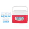 gernie Insulated Portable Cooler Box, 5L 10.6 X 9.1 X 7.9inch Insulated Food Delivery Box with 5 Ice Bags Cooler and Warmer Portable Refrigerator Box with Handle, Long Lasting view 2