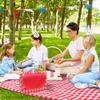LRUUIDDE Extra Large Picnic Blanket Beach Blankets, Outdoor Foldable Waterproof Sand Mat for Beach Camping Hiking Travel Family Concerts Grass Park Music Festival Lawn Mats (Red, 80x60inch) view 4