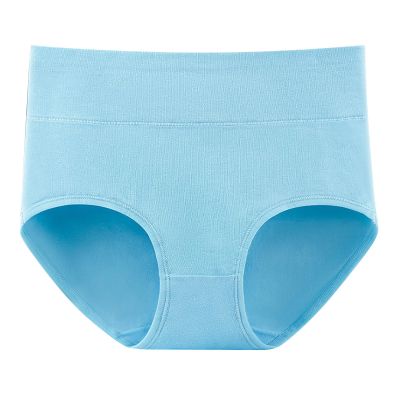 Women's Cotton Bikini Brief Underwear No Show Cheeky Panties Breathable Panties Seamless Soft Stretch Hipster Underwear