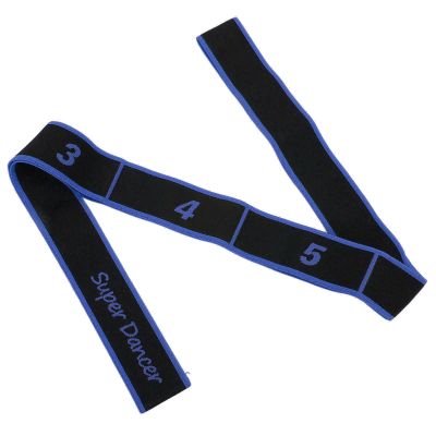 Adult Latin Dance Training Elastic Band Yoga Stretch Band for Exercising Fitness Gym (Blue)