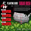 Pure Whitetail Sugar Rush | Select Seed Blends | Easiest Deer Feeder | Late Season Whitetail Deer Food Plot | Turnip, Sugar Beet, Winfred Forage Brassica Seeds | 5 lb Bags | 3-Pack view 2