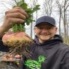 Pure Whitetail Sugar Rush | Select Seed Blends | Easiest Deer Feeder | Late Season Whitetail Deer Food Plot | Turnip, Sugar Beet, Winfred Forage Brassica Seeds | 5 lb Bags | 3-Pack view 3