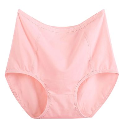 Women's Cotton High Waisted Brief Underwear No Show Seamless Invisible Ladies Plus Size Soft Stretch Cheeky Panties