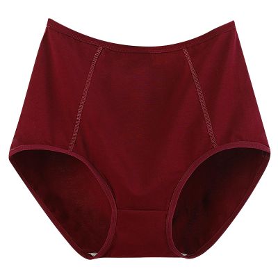Women's Cotton High Waisted Brief Underwear No Show Seamless Invisible Ladies Plus Size Soft Stretch Cheeky Panties