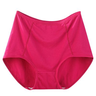 Women's Cotton High Waisted Brief Underwear No Show Seamless Invisible Ladies Plus Size Soft Stretch Cheeky Panties
