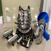 Roman Muscle Armor Cuirass Set Helmet Arm and Leg Halloween Costume view 1