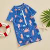 Hnyenmcko Infant Baby Boy Girls Rash Guard Swimsuit Short Sleeve Zipper Bathing Suit Toddler One Piece Swimwear Sunsuit (D-Blue, 18-24 Months) view 3
